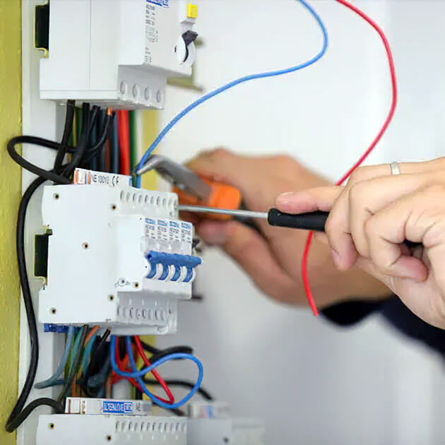 What Do We Do What Do We Do